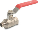 Profec Valve Brass Nickel Plated 1 1/4" Female Thread x Male Thread 25Bar Type 104 | Profec | UK Supplier | Roladex
