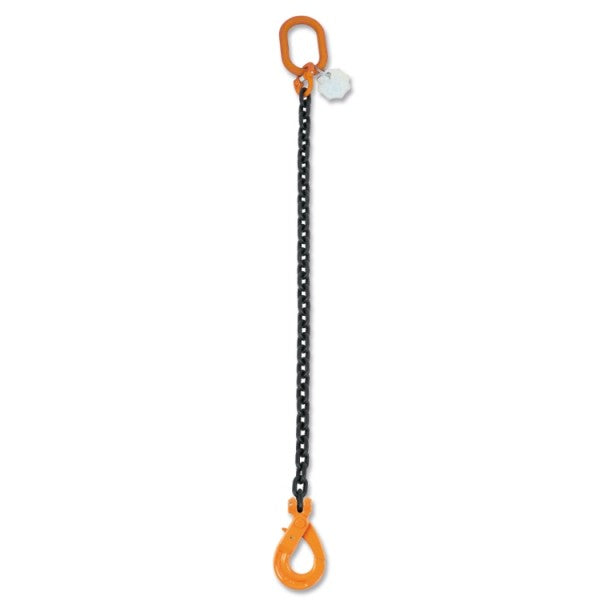 8091SL D7-2-CHAIN SLING EN818 1 LEG 2M