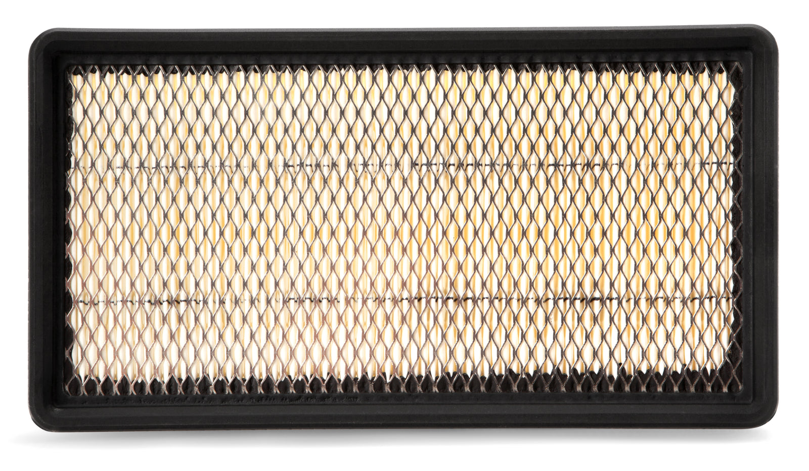 Fleetguard Air Filter-Plastic Panel On-Engine AF25256