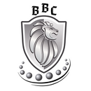 BBC '32004 Taper Roller Bearing