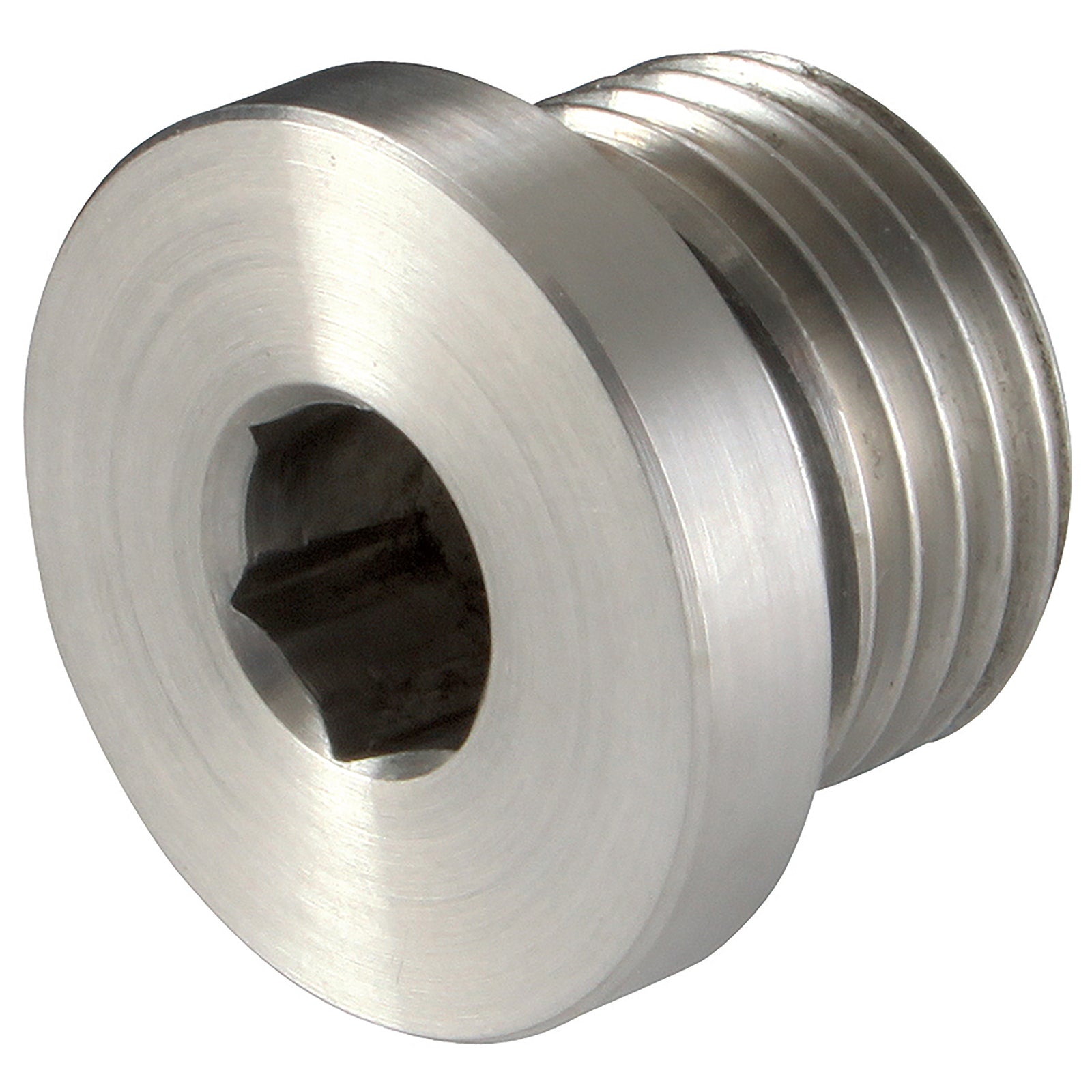 PH Industrie VSTI-16EO - 1" BSPP Male Blanking Plug 316