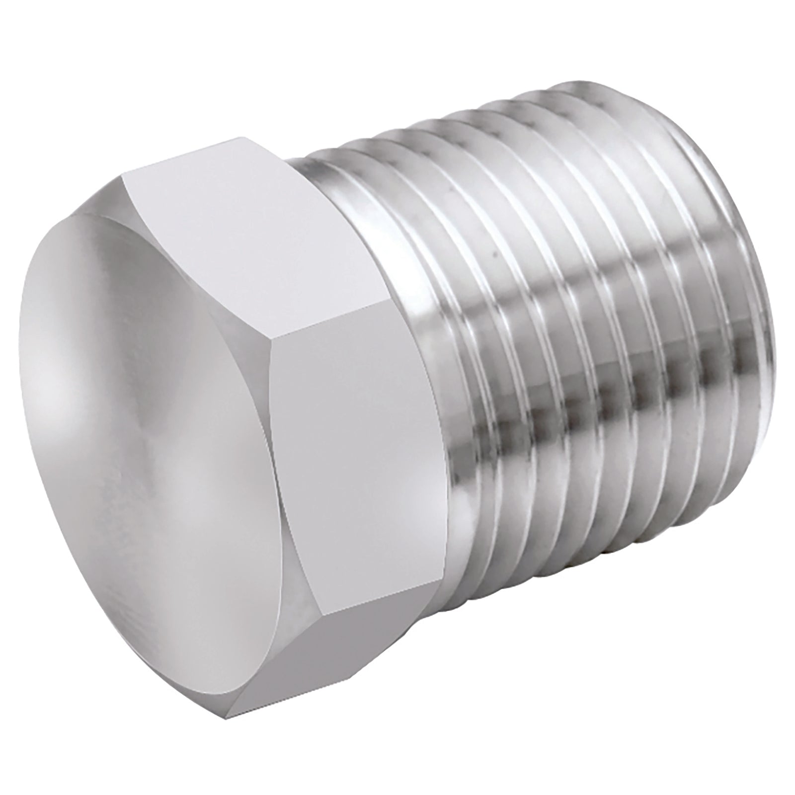 Panam 2025-2524 - 1/8" BSPT Male Plug 316S.S Hex Head