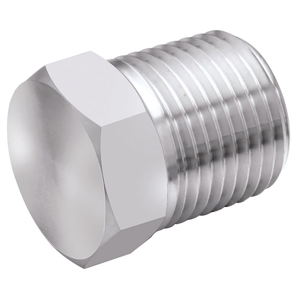 1" BSPT MALE PLUG 316S.S HEX HEAD; 2025-2573 product image by Panam
