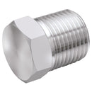 Panam 2025-2565 - 3/4" BSPT Male Plug 316S.S Hex Head