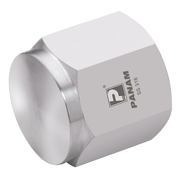 1" BSPP 6K PSI 316 CAP; 2033-8351 product image by Panam