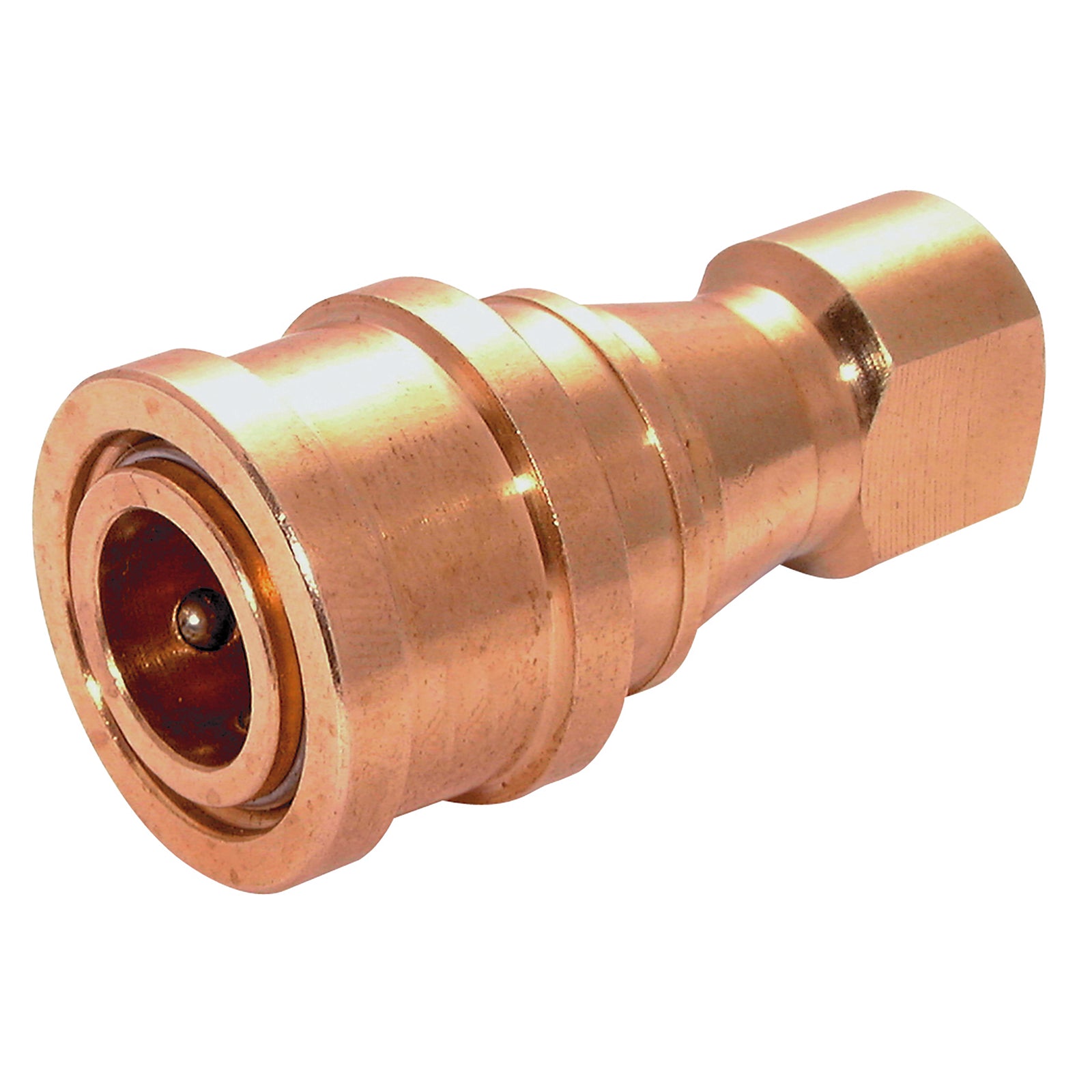 FT Pro HKS04B-V - 1/4" BSP Parallel Female Coupling