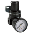 FT Pro KRS200-06 - 1/8" Regulator BSPP