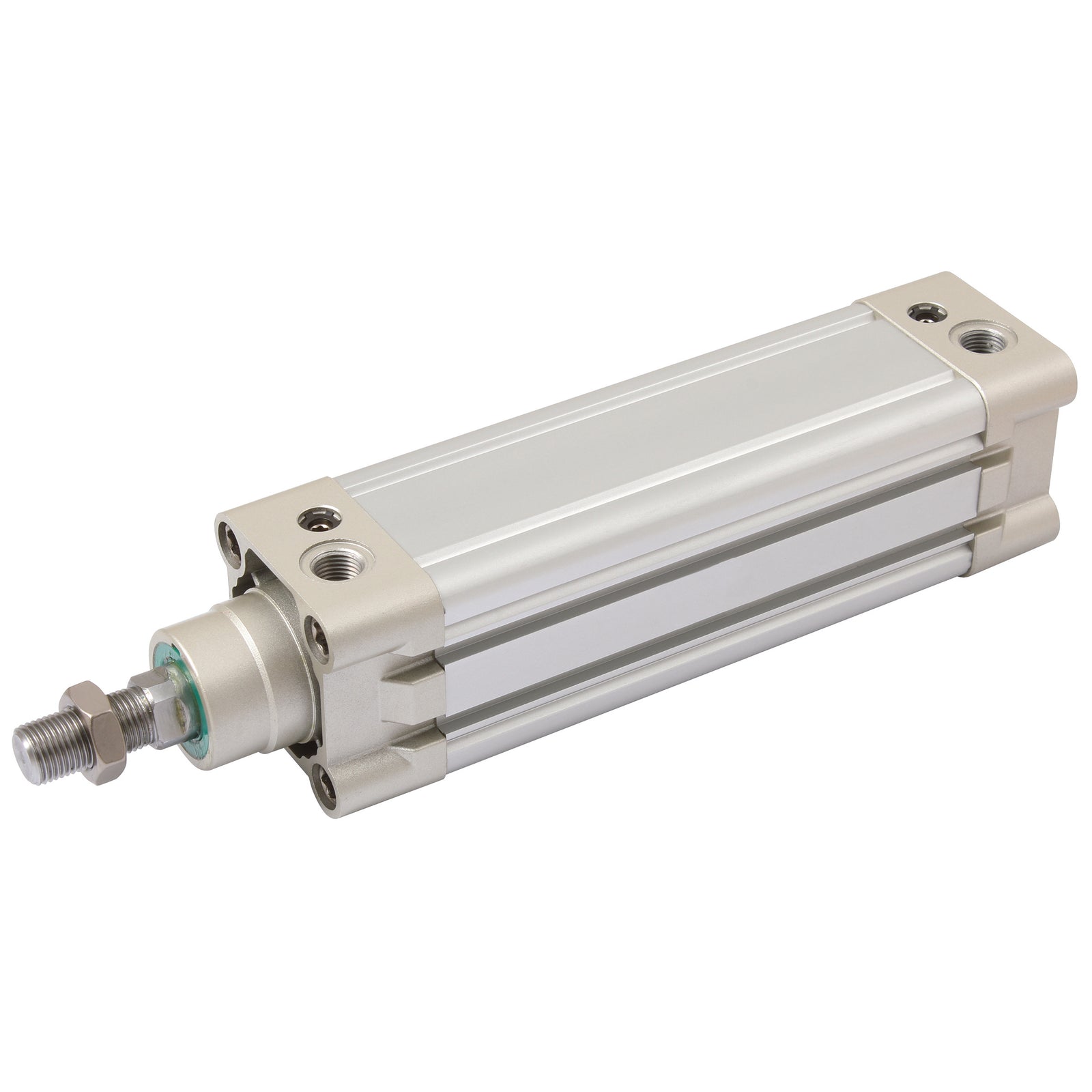 FT Pro KI-100BX100-S-G - 100mm X 100mmst Mag.Da Cyl St.St. P.Rod