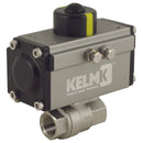 FT Pro 2184-0028 - 1/2" BSPP Ss 2 Pc Da Alum Actu B.Valve