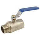 FT Pro 2064-7954 - 2"BSPm X 2"BSPf Brass Ball Valve Blue Handle