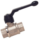 1" BSPP Brass Ball Valve Venting; VBV-1 product image by FT Pro