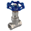 Haitima SGV-38 - 3/8" BSP 316 St/Steel Globe Valve