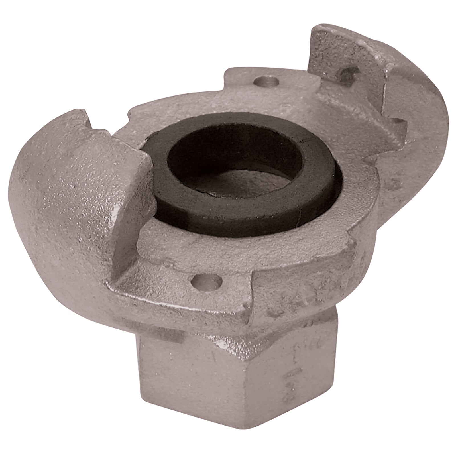 FT Pro SS234 - Claw Coupling 3/4" BSP Fem Plated