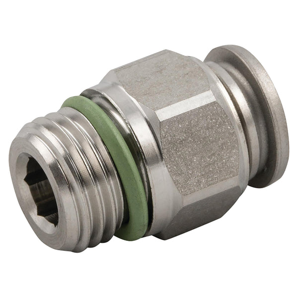 06MM OD X 1/8" BSPP MALE STUD 316 ST/ST; 60020-6-1/8 product image by Aignep