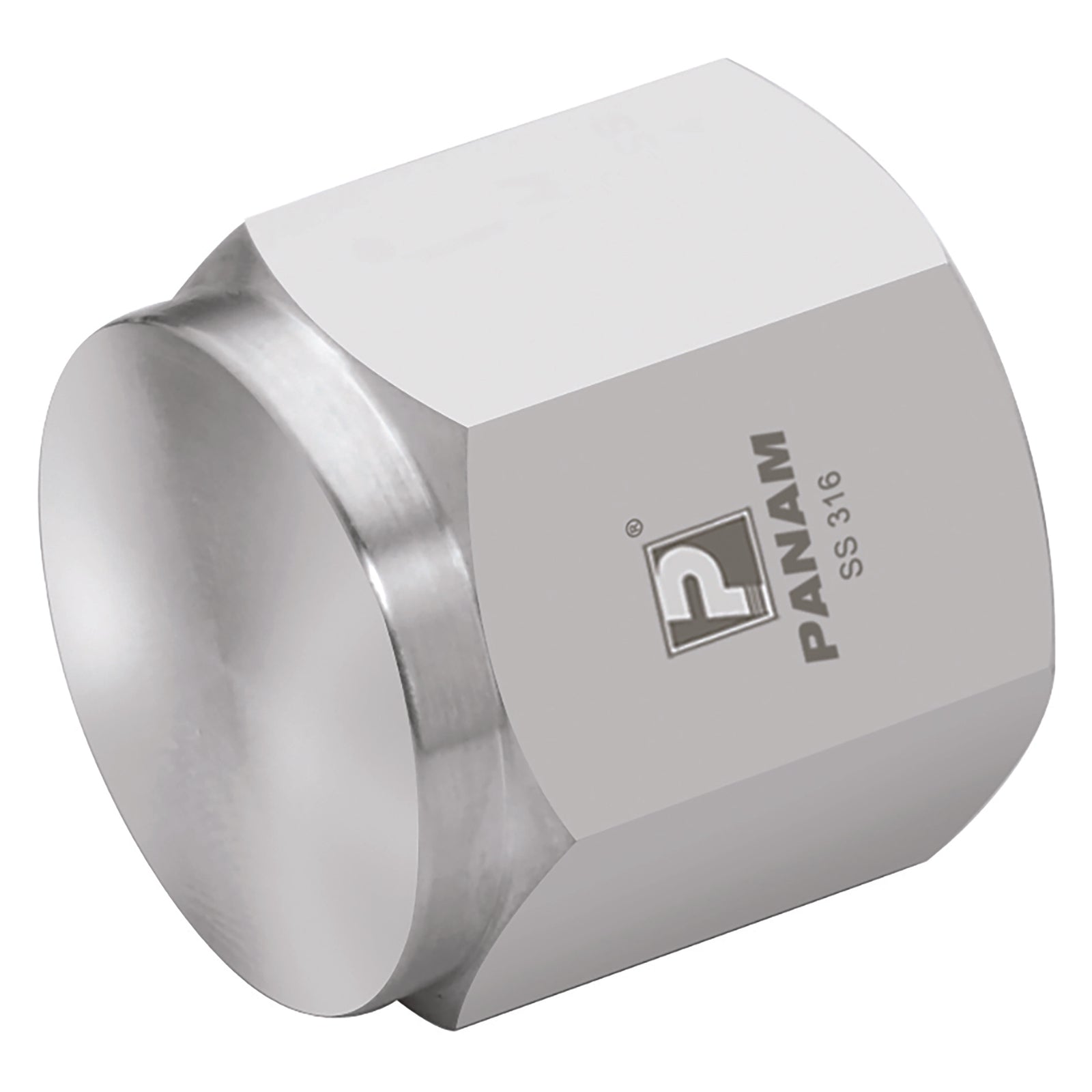Panam PCP-16 - 1" Npt Female 316 Pipe Cap
