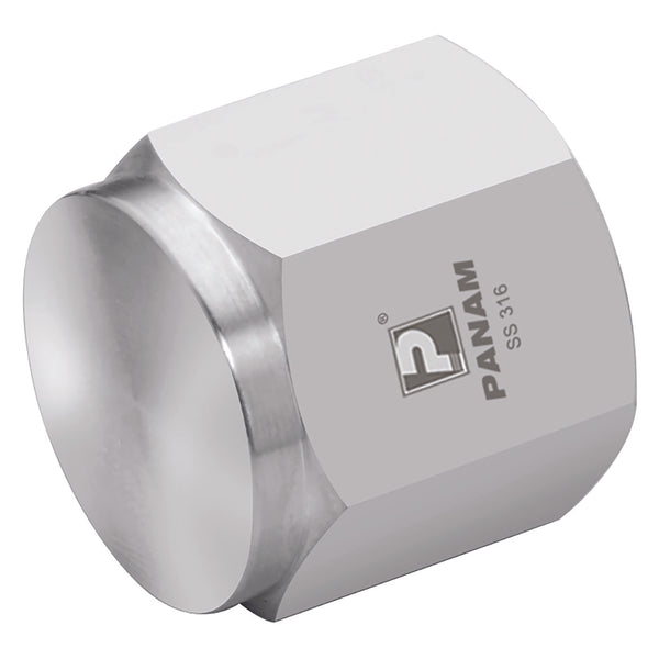 1" NPT FEMALE 316 PIPE CAP; PCP-16 product image by Panam