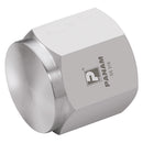 Panam PCP-04 - 1/4" Npt Female 316 Pipe Cap