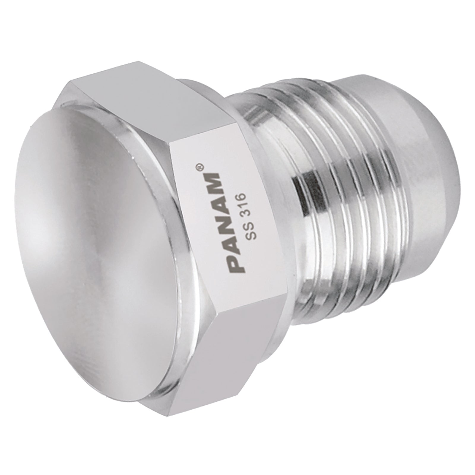 Panam 299M12 - 12mm OD X 3/4" Unf St/St Blanking Plug