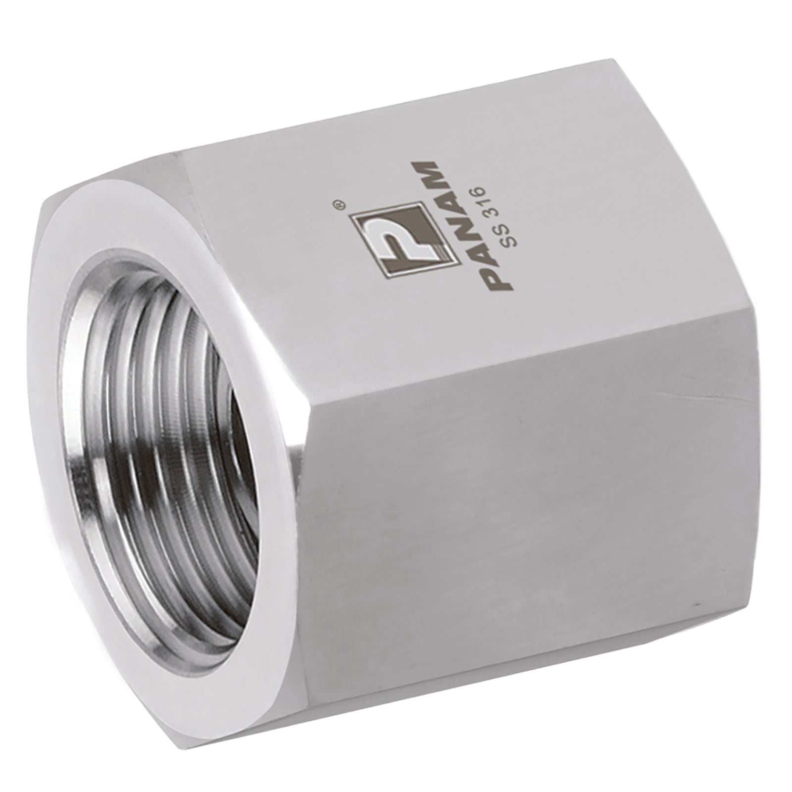 Panam 2N-16N-FF-10K - 1/8" Npt X 1" Npt Female/Female