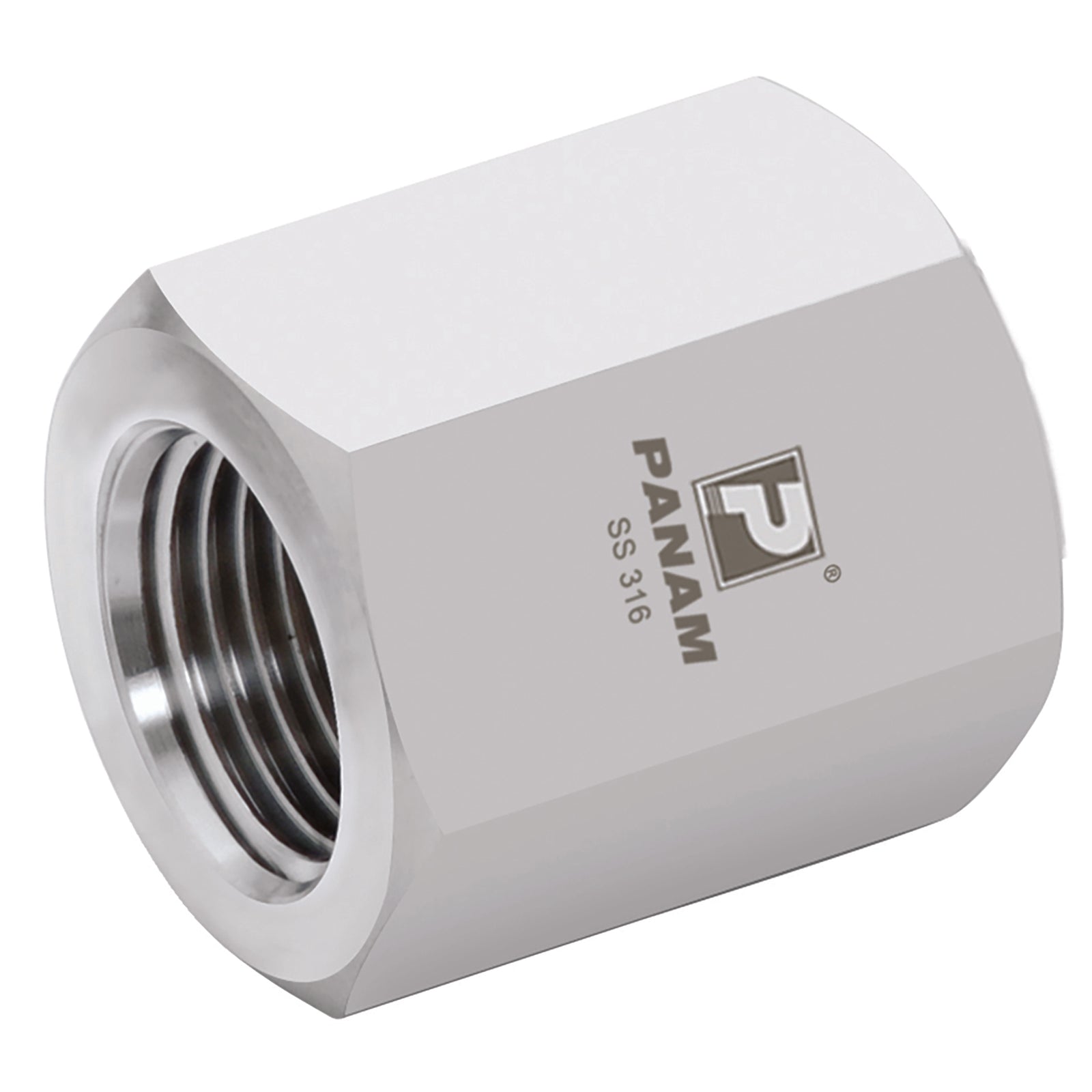 Panam 16G-C-10K - 1" BSP Cap 10K St/St