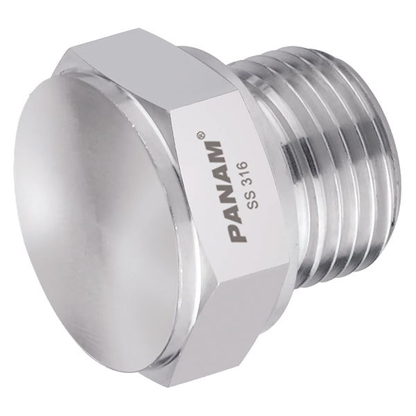 1 BSPP 10KPSI 316 PLUG; 16G-P-10K product image by Panam