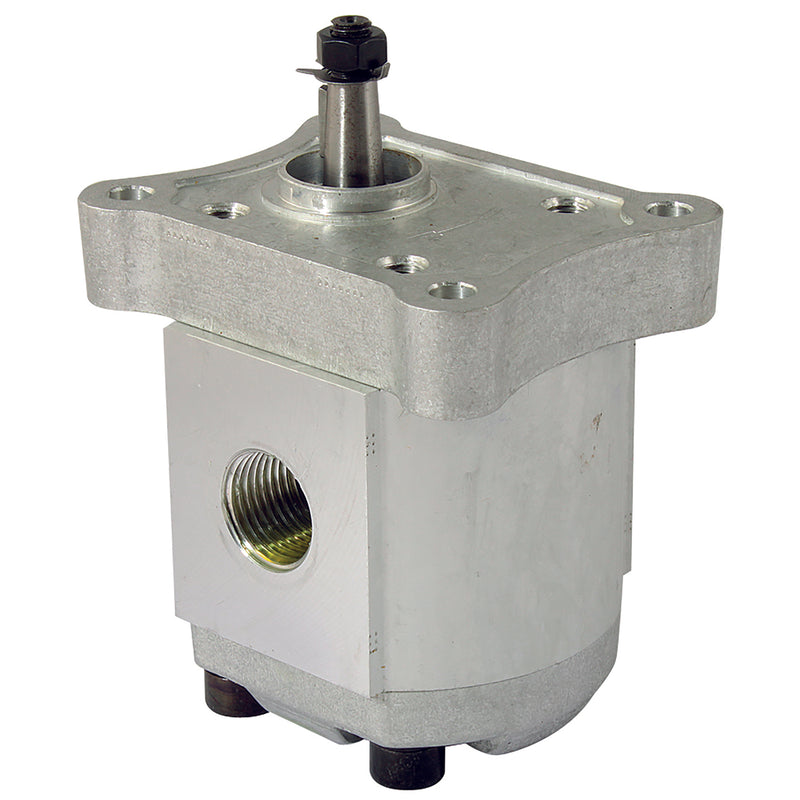1/2" BSP Parallel Female Group 1 Gear Pump; AGP1-C-9.8 product image by FT Pro