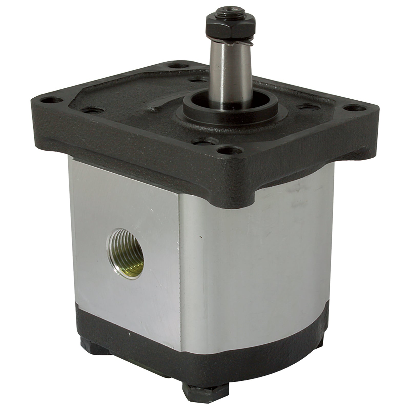 FT Pro AGP2-C-10 - 3/4" BSP Parallel Female Group 2 Gear Pump