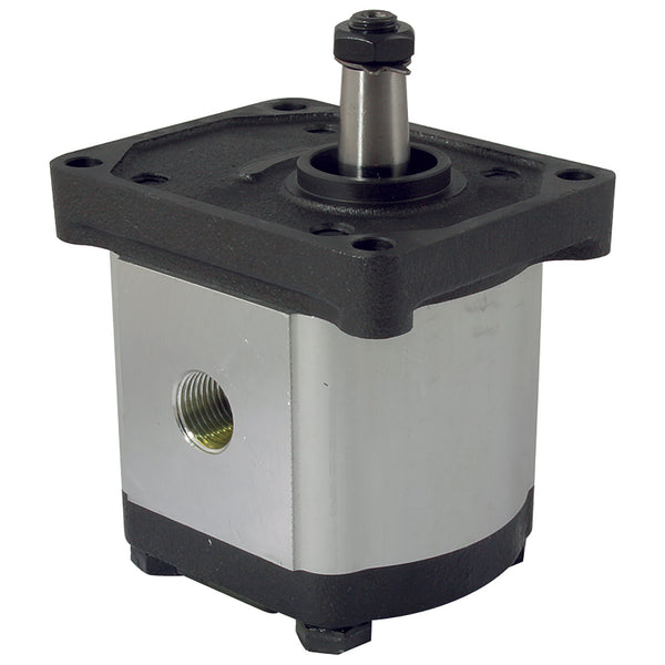 3/4" BSP Parallel Female Group 2 Gear Pump; AGP2-C-16 product image by FT Pro