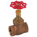 FT Pro GBV-2 - 2" BSP Fem Gunmetal Globe Valve