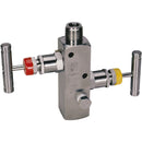 Panam P2VM-SS-8-RM - 2 Valve Manifold Remote Mount 1/2" Npt
