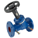 FT Pro ADRD250600 - 6" Art250 Pn16 D/I Dbl Reg Var Or