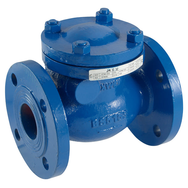 12" ART170 PN16 C/I SWING CHECK; ACST1701200 product image by Jaymac