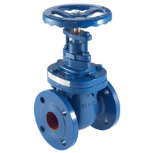 Industrial gate valves for dependable isolation
