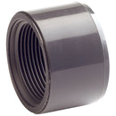 1.1/4" BSPP FEMALE X 1.1/2" OD PVC; RB30-1121-UPVC product image by Comer