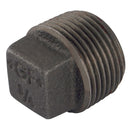 GF GF291-3N - 3" BSPT Male Hollow Plug Black 291