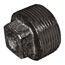 Crane C147-2N - 2" BSPT Male Hollow Plug Fig147 Black