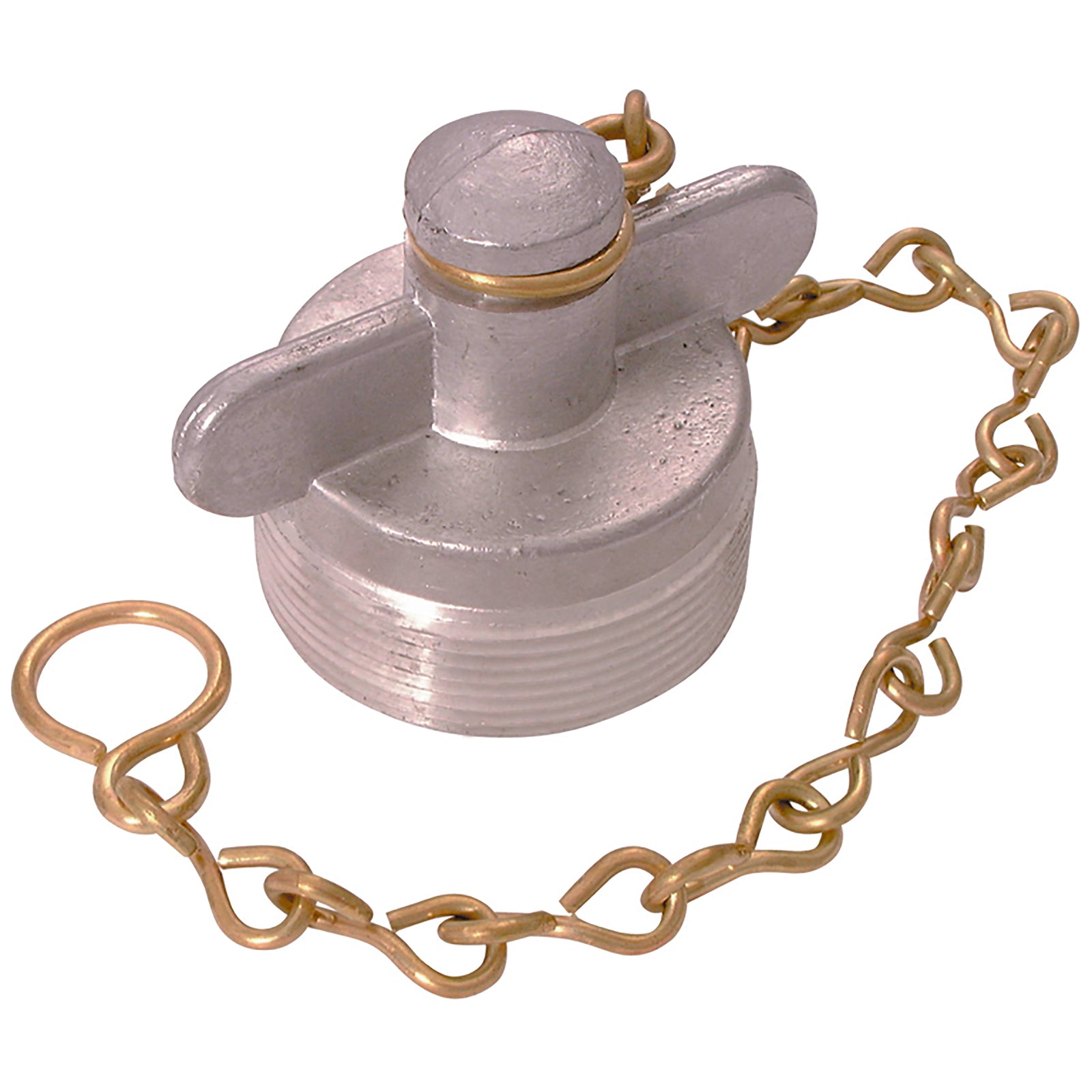 FT Pro ABPCBSP3 - 3" BSPP Alloy Blank Plug And Chain