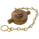FT Pro GMBCC212 - 2.1/2" BSPP Gun Metal Blank Cap And Chain