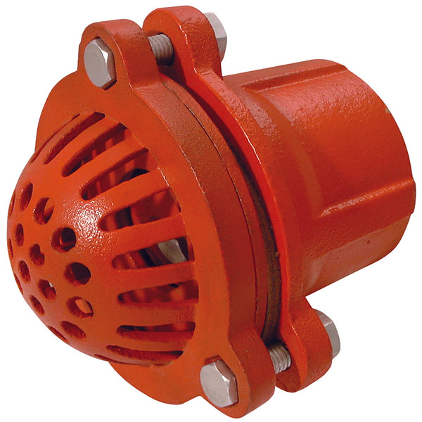 6" BSPP MALLEABLE IRON FOOT VALVE; FOOT600 product image by Jaymac