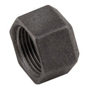 EE EE-MI300-4N - -4 Fem BSPP Cap (Black)