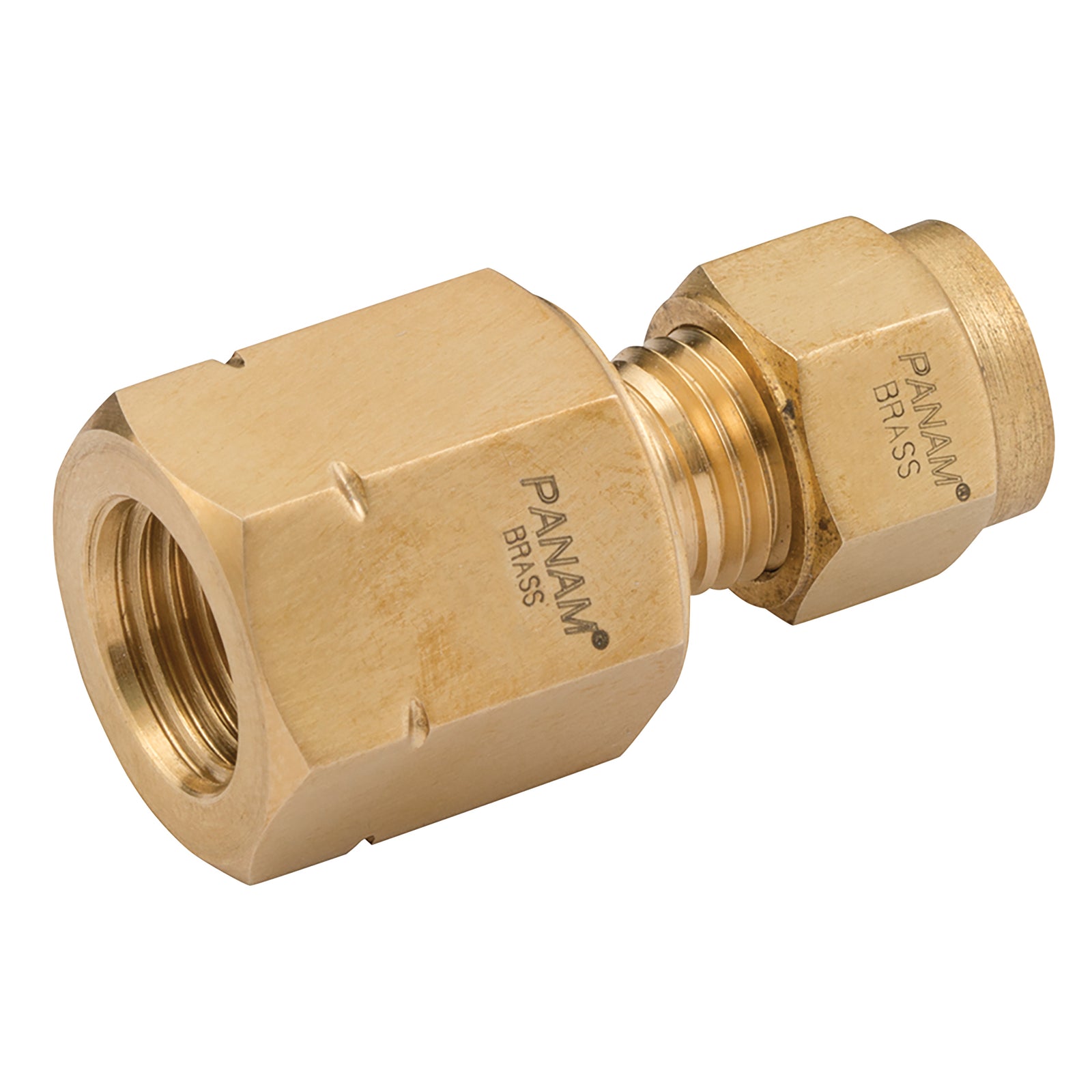 Panam FC-8-250RT-B - Fem Conn 8 OD 1/4 BSPT Brass