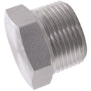 FT Pro 1012-0317 - 2 BSPT Hex Plug 6K 316/L