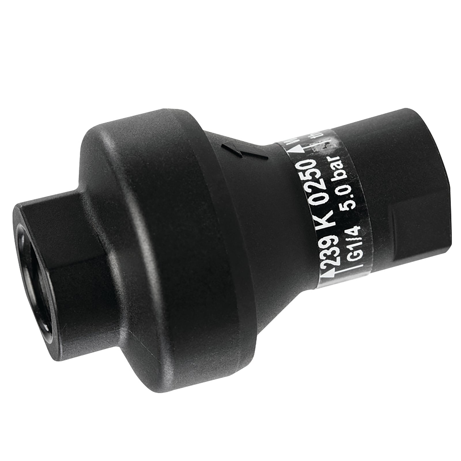 Protect Air 239K0220 - 1/4" Regulator BSP Parallel Female