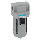 FT Pro FM2-50-06-F - 3/4" Filter BSP