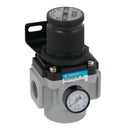 FT Pro FM2-20-01-R - 1/8" Regulator BSP Parallel Female