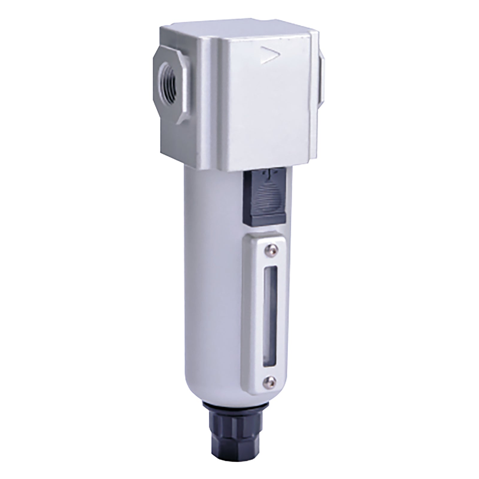 FT Pro GPFD300-08-A - 1/4" BSP Parallel Female Precision Filter