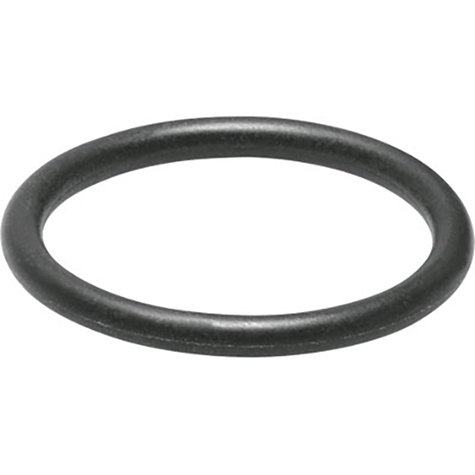 SASF-FW-S-E SEAL; 8036907 product image by Festo