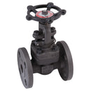 ICP Valves GL150C 04 04 1/2" Ansi 150 Globe Vlve A105 Trim No. 5