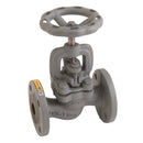 FT Pro 479 05 05 3/4" Pn16 C/I Glbe Vlv Ss Stem & Seat
