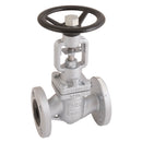 2.1/2"PN16 FLNG DI BELOW SEALED GLBE VLV; 476 10 product image by ICP Valves